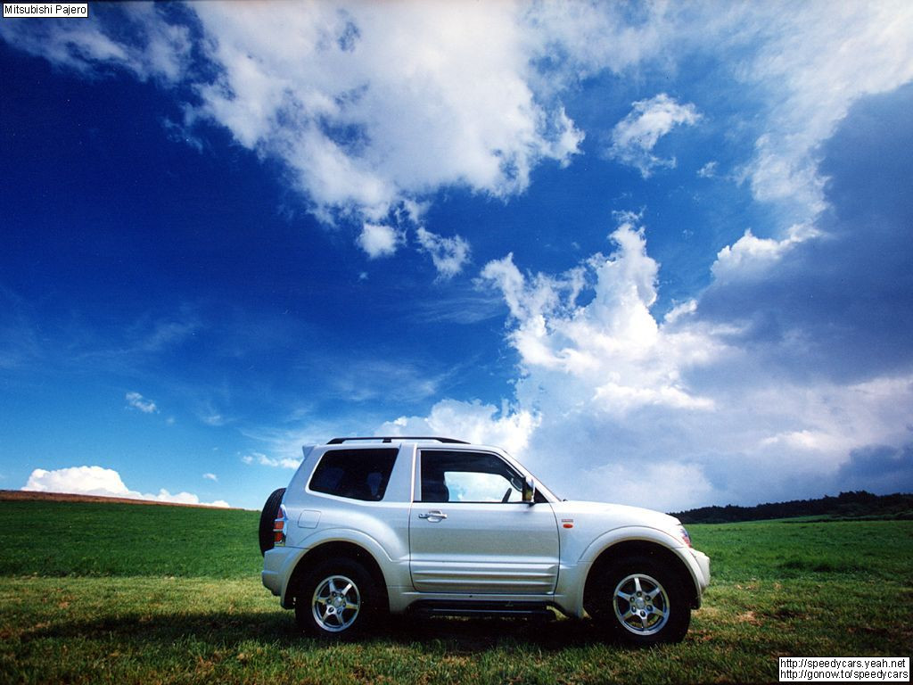 Mitsubishi Pajero фото 2246