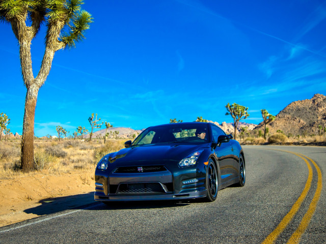 Nissan GT-R Track Pack фото