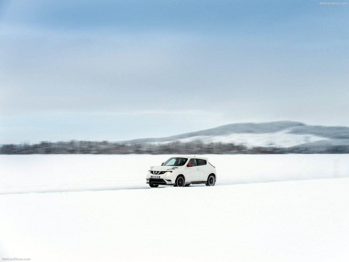 Nissan Juke Nismo RS фото 162470