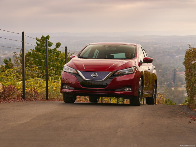 Nissan Leaf фото