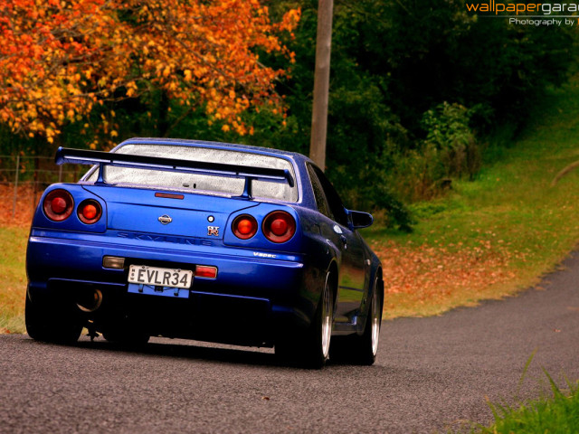 Nissan Skyline GT-R фото