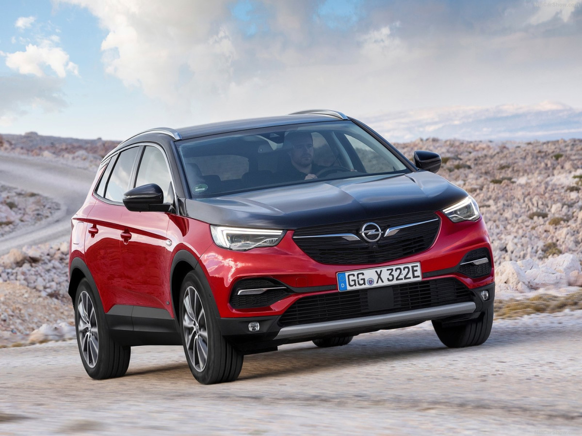 Opel Grandland фото 202016