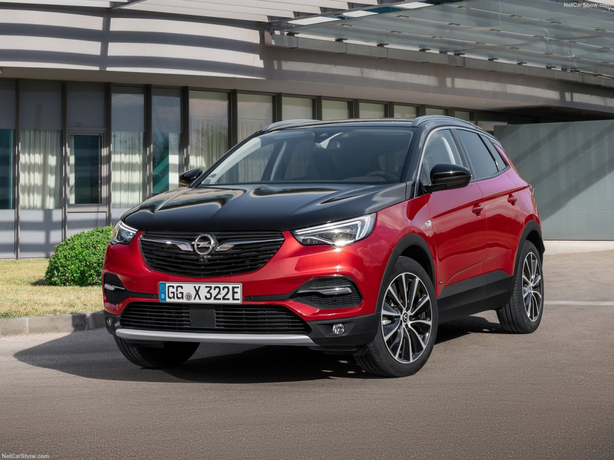 Opel Grandland фото 202019