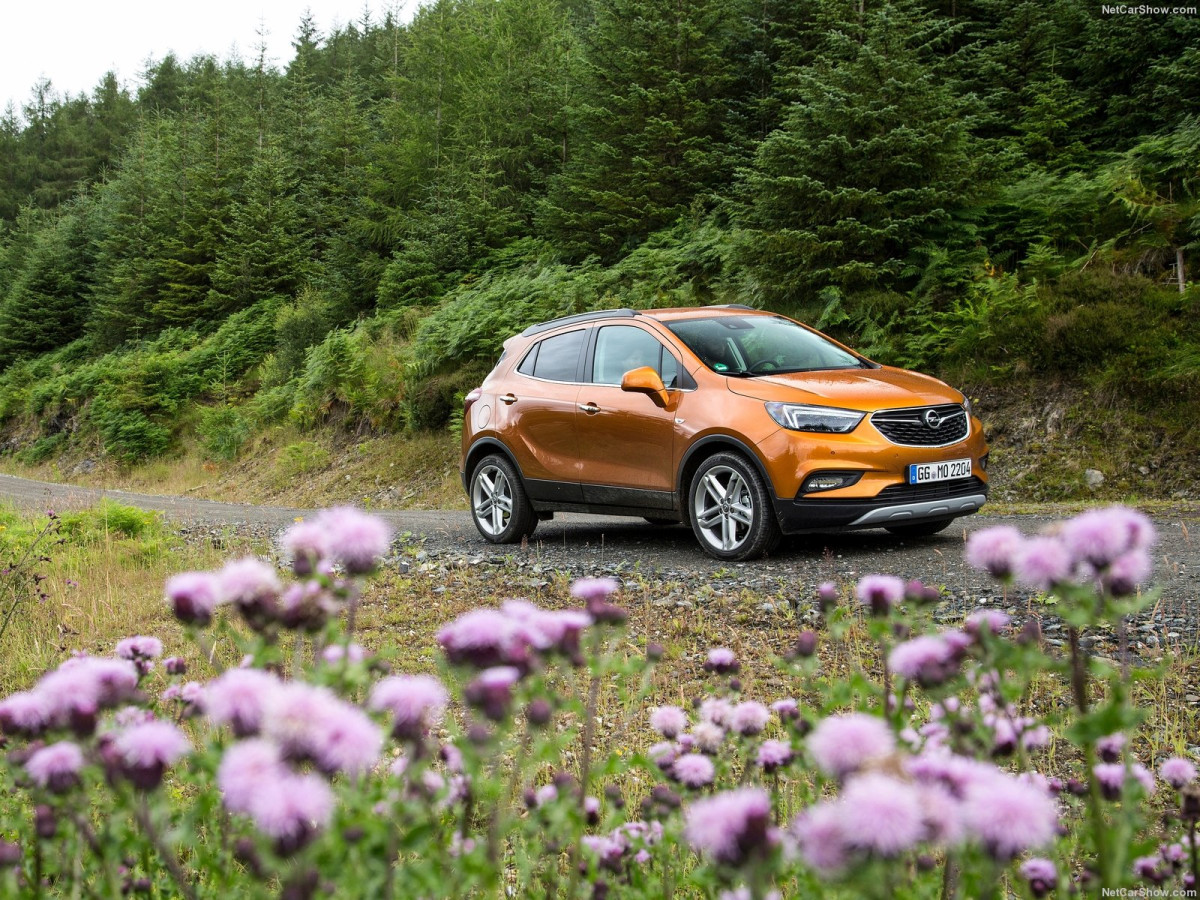 Opel Mokka фото 187862