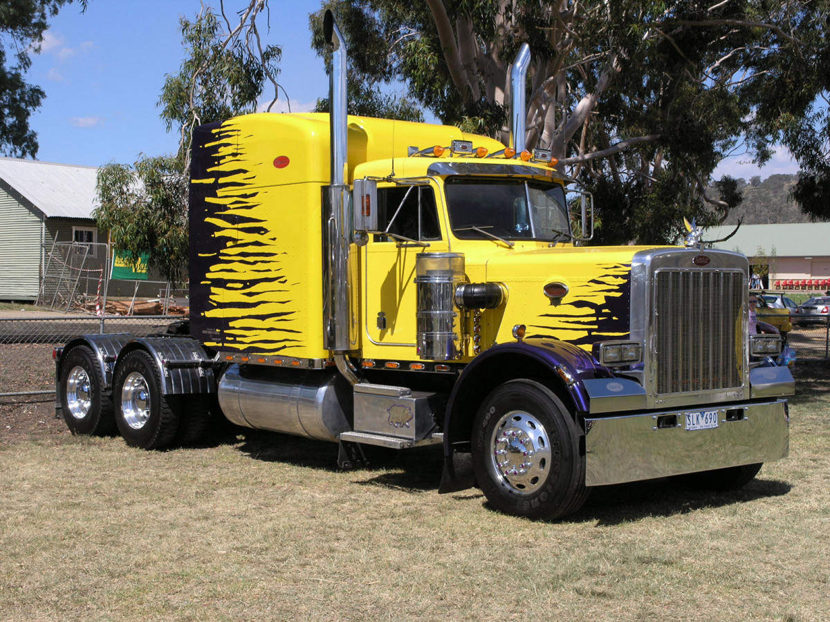 Peterbilt 379 фото 50178