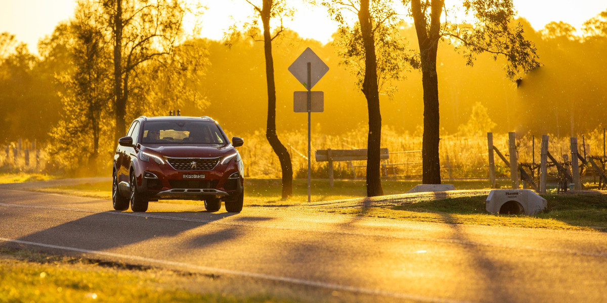 Peugeot 3008 фото 187075