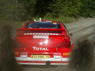 Peugeot 307 WRC фото