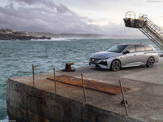 Peugeot 308 SW фото