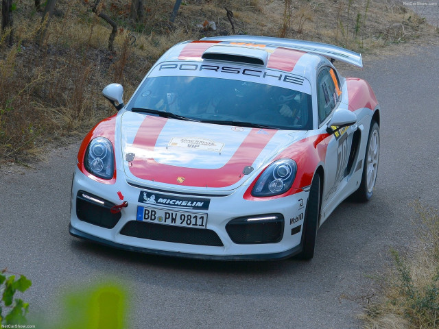 Porsche Cayman GT4 фото