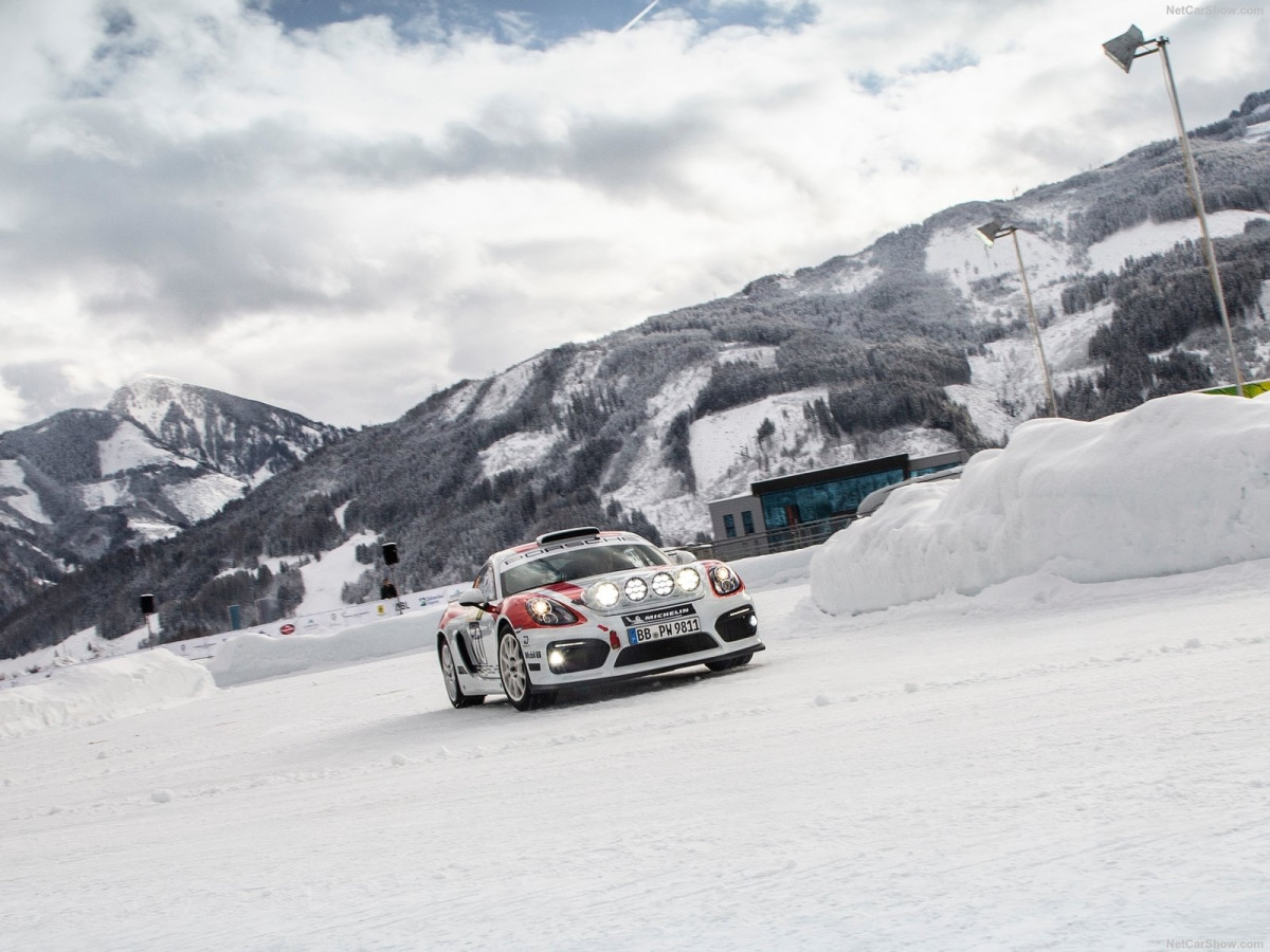 Porsche Cayman GT4 фото 200222