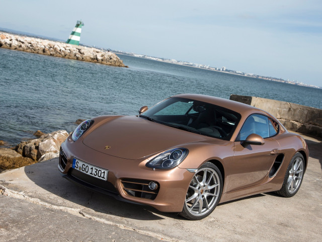 Porsche Cayman фото