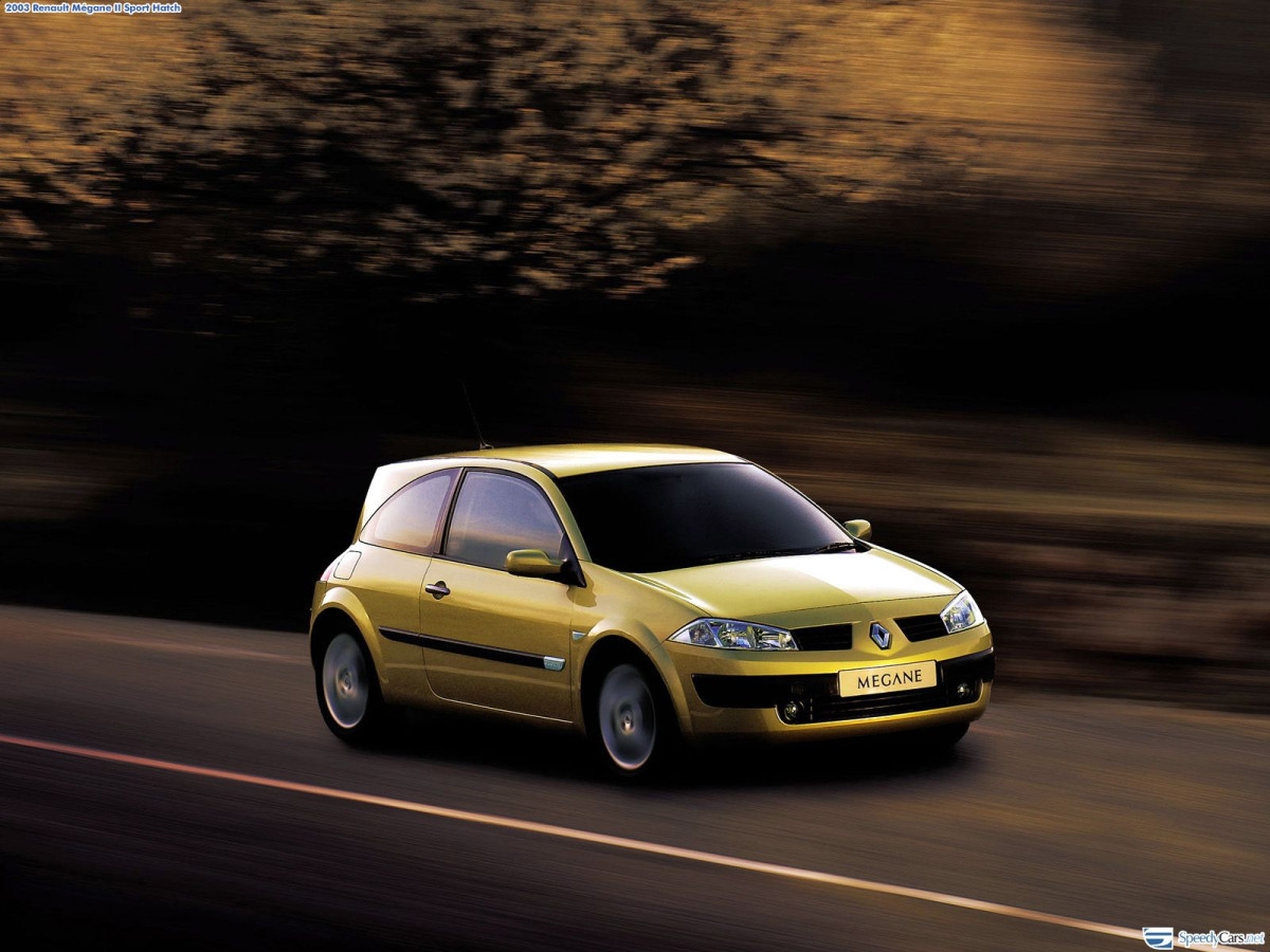 Renault Megane Coupe фото 1598