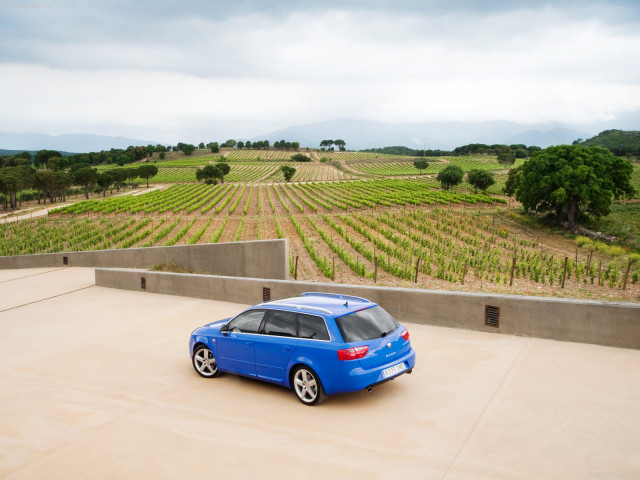 Seat Exeo ST фото