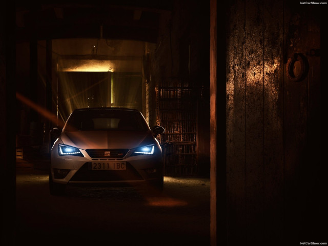 Seat Ibiza Cupra фото