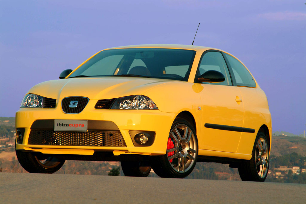 Seat Ibiza Cupra фото 16073