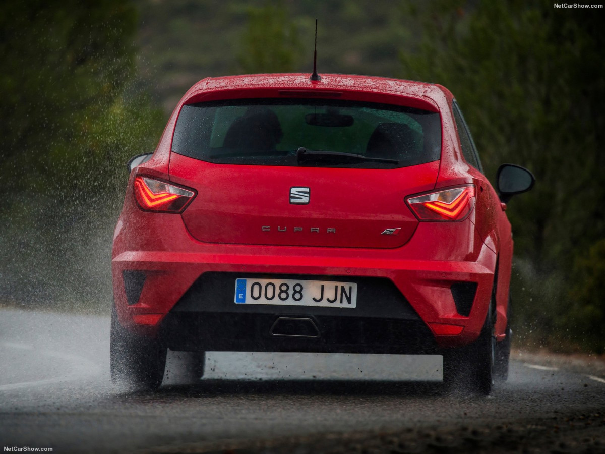 Seat Ibiza Cupra фото 161517