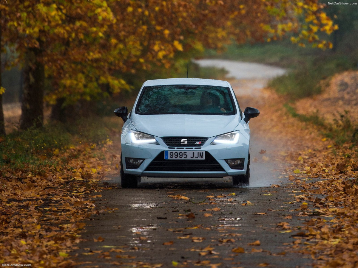 Seat Ibiza Cupra фото 161525