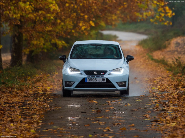 Seat Ibiza Cupra фото