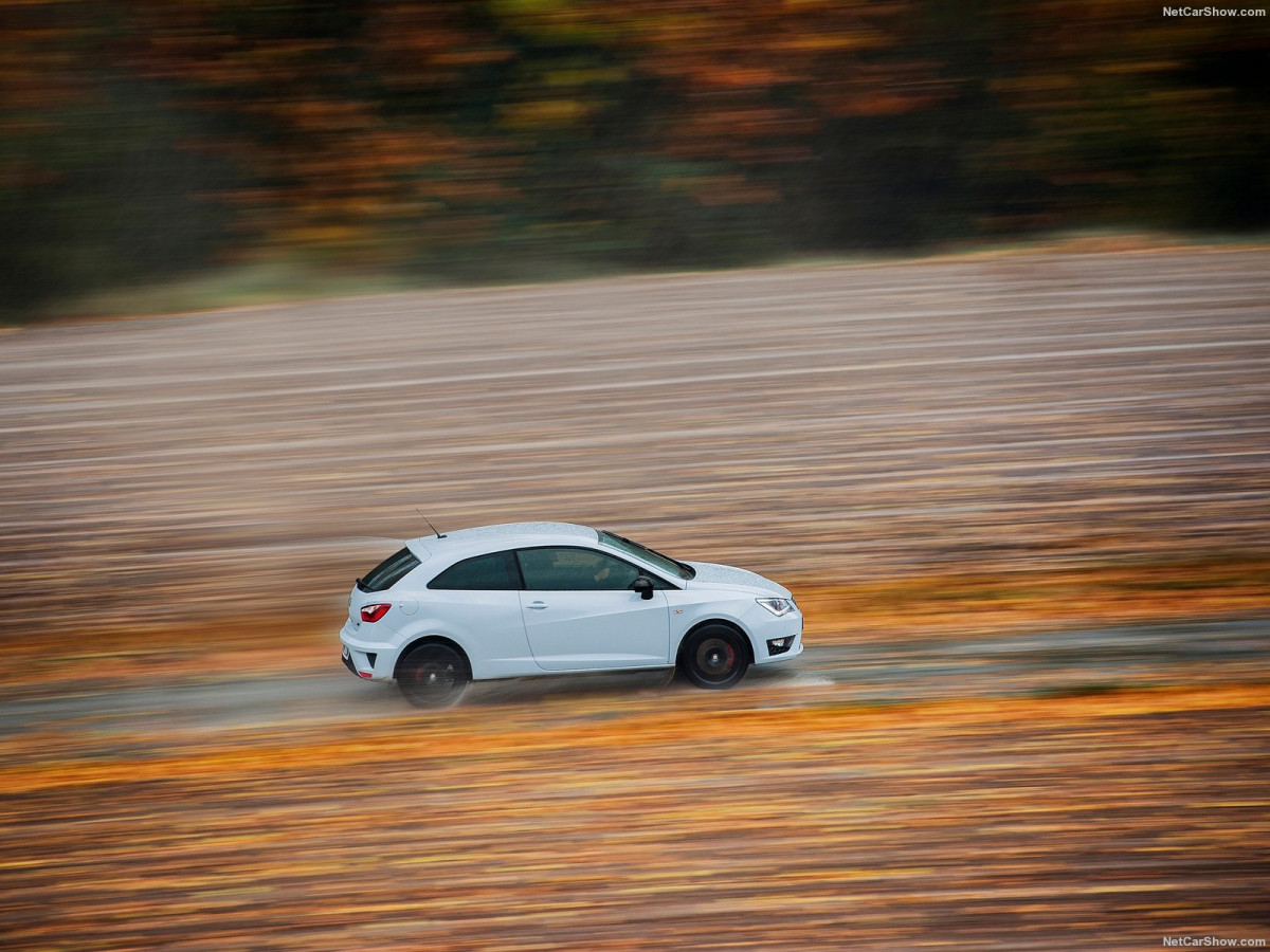 Seat Ibiza Cupra фото 161533