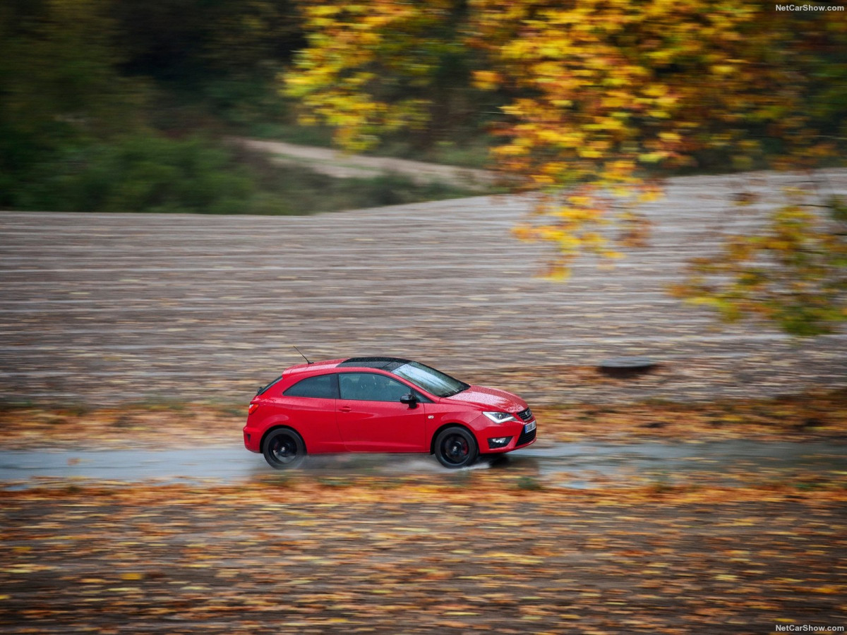 Seat Ibiza Cupra фото 161535