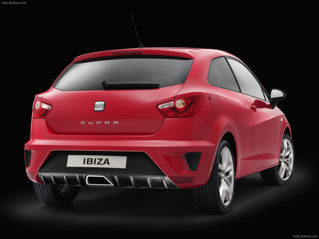 Seat Ibiza Cupra фото