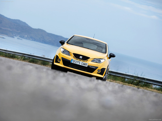 Seat Ibiza Cupra фото