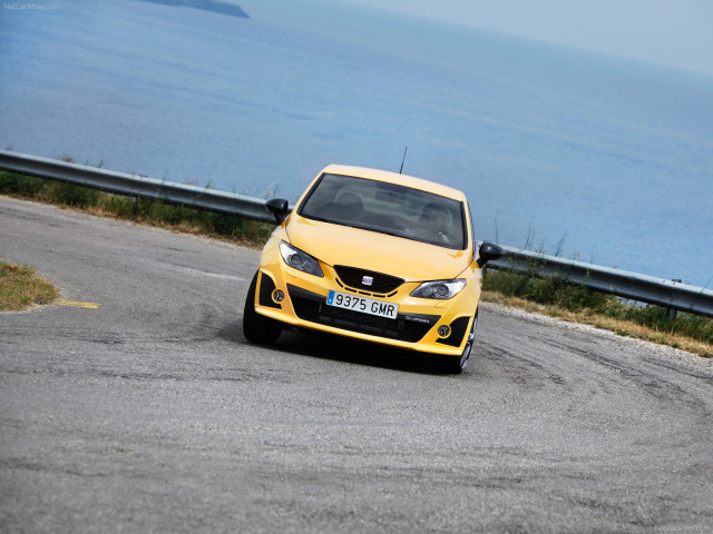 Seat Ibiza Cupra фото