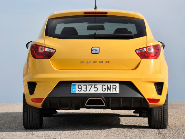 Seat Ibiza Cupra фото