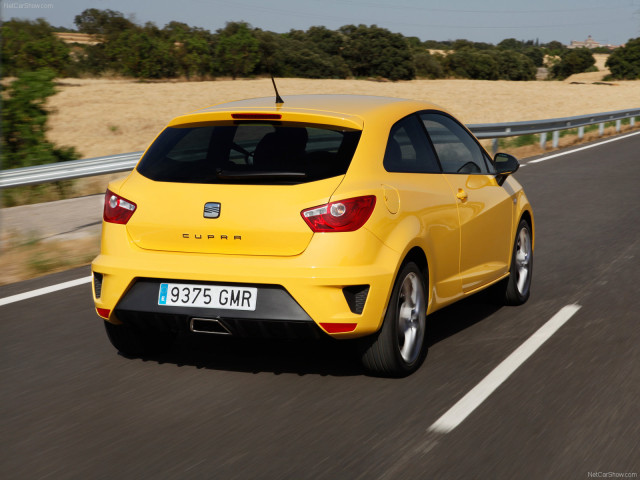 Seat Ibiza Cupra фото