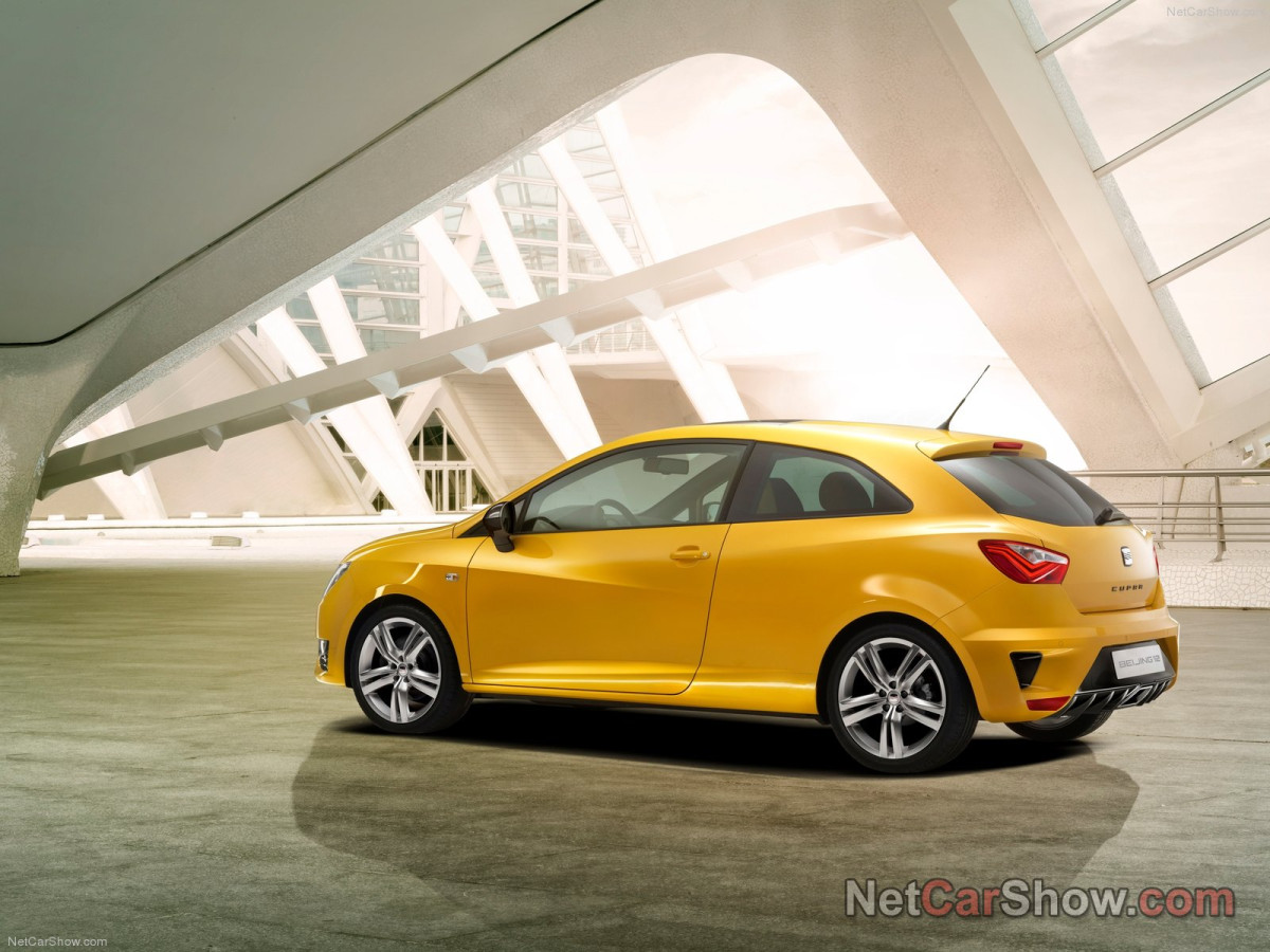 Seat Ibiza Cupra фото 94535