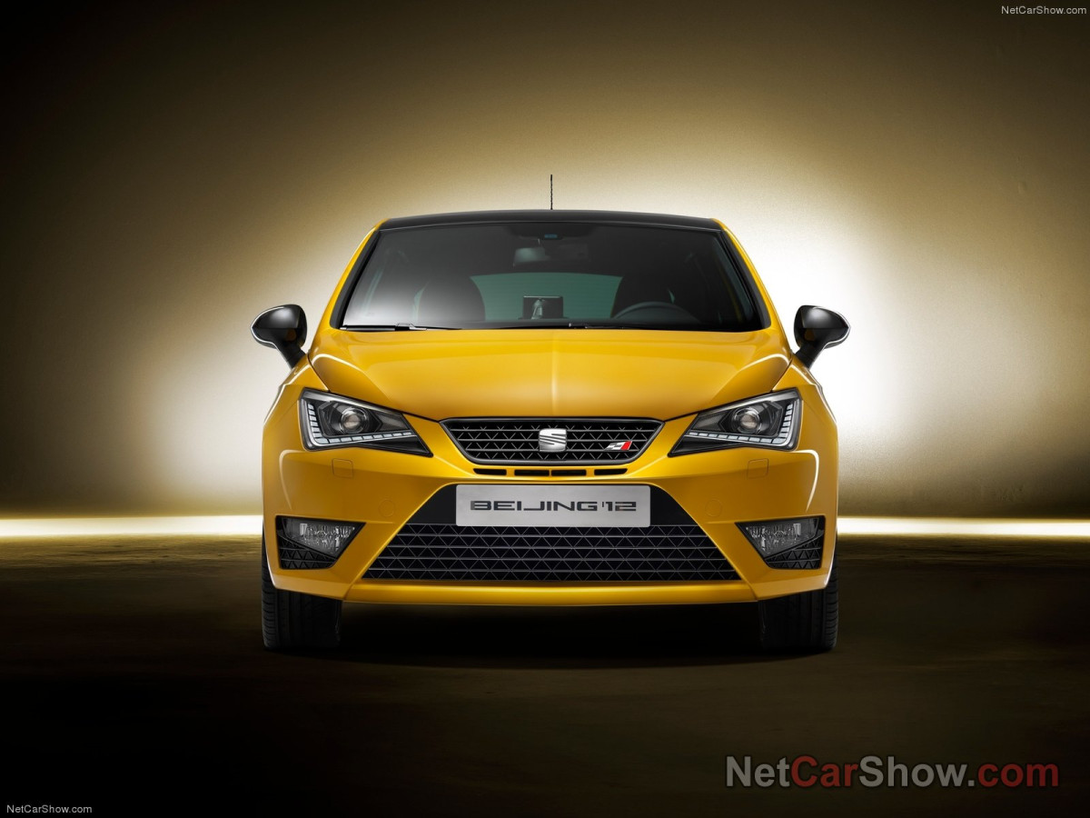 Seat Ibiza Cupra фото 94539