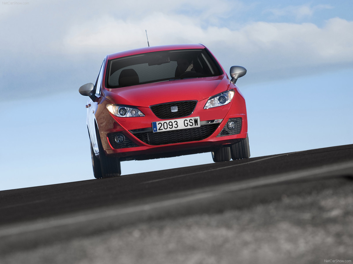 Seat Ibiza FR TDI фото 73812