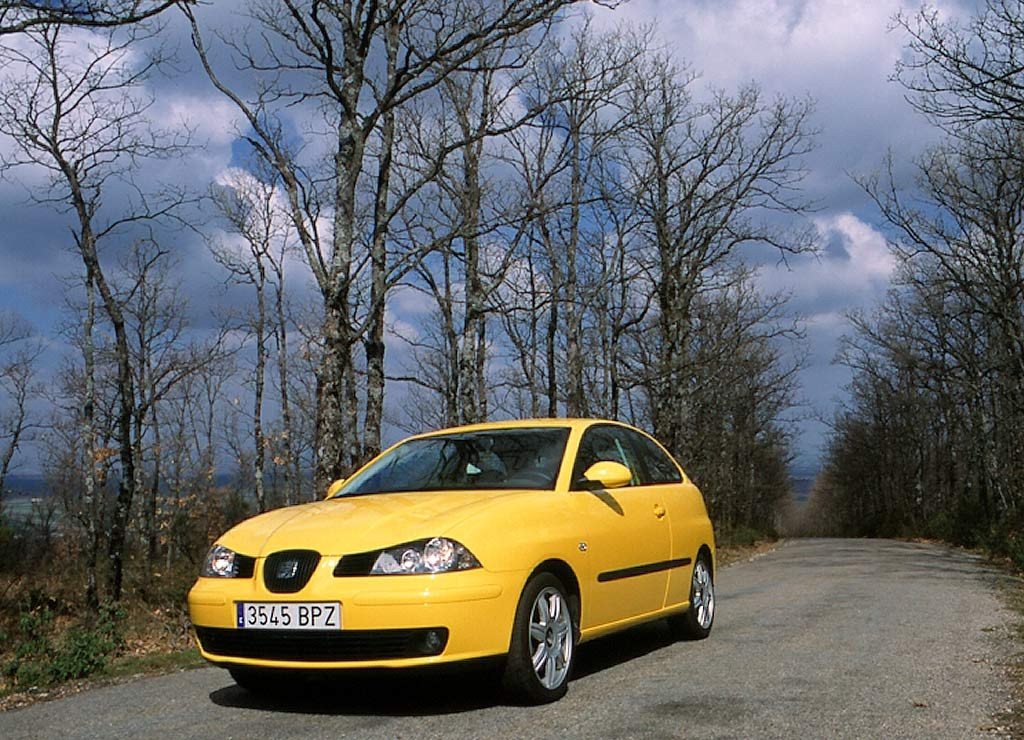 Seat Ibiza фото 16024