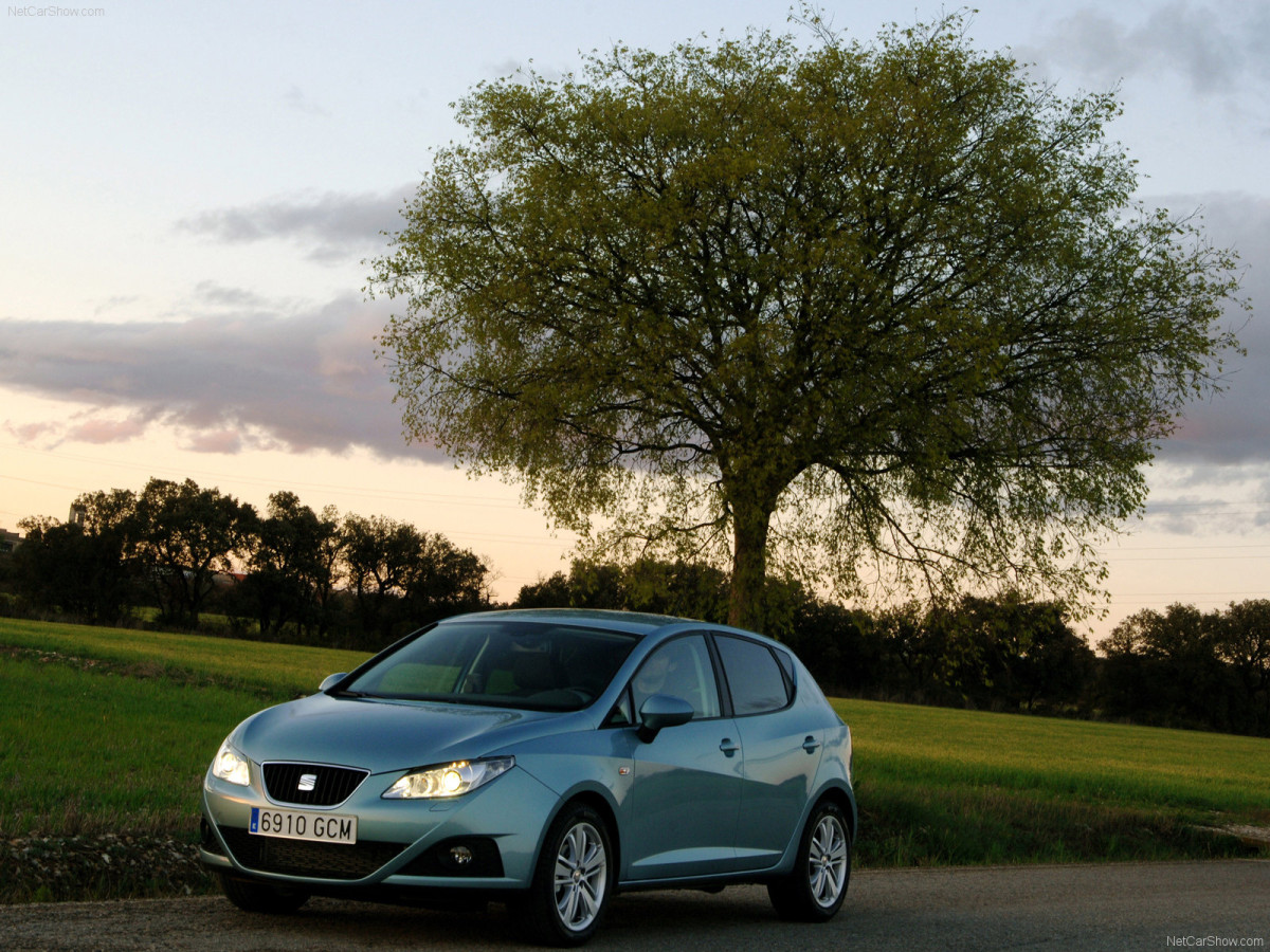 Seat Ibiza фото 55378