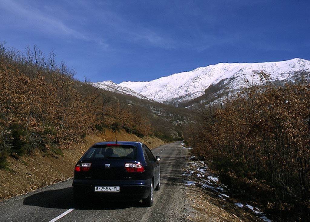 Seat Leon фото 16095