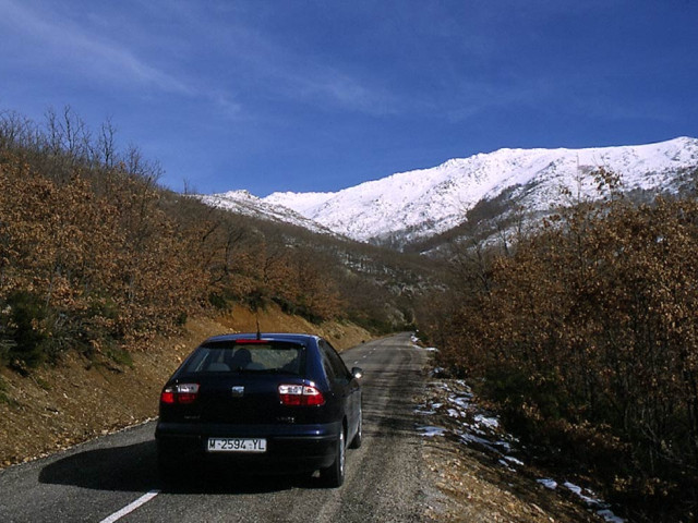 Seat Leon фото