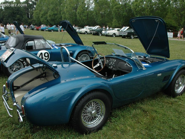 Shelby Super Cars Cobra 289 фото