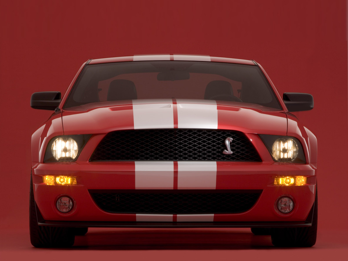 Shelby Super Cars Cobra GT500 фото 29046