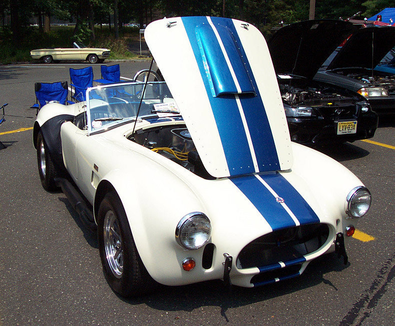 Shelby Super Cars Cobra фото 6050