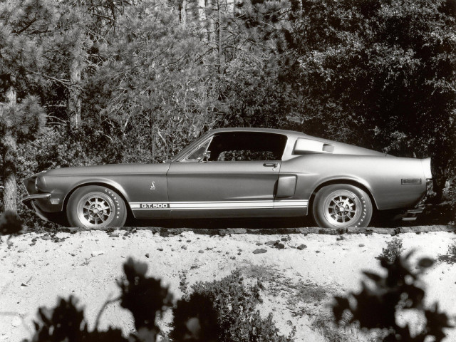 Shelby Super Cars Mustang GT500 фото