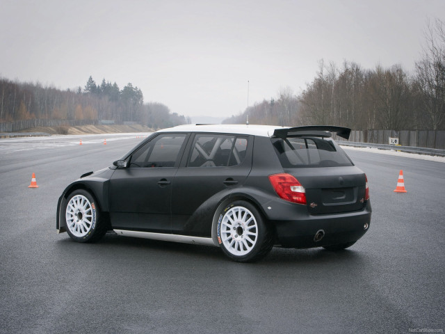 Skoda Fabia Super 2000 фото