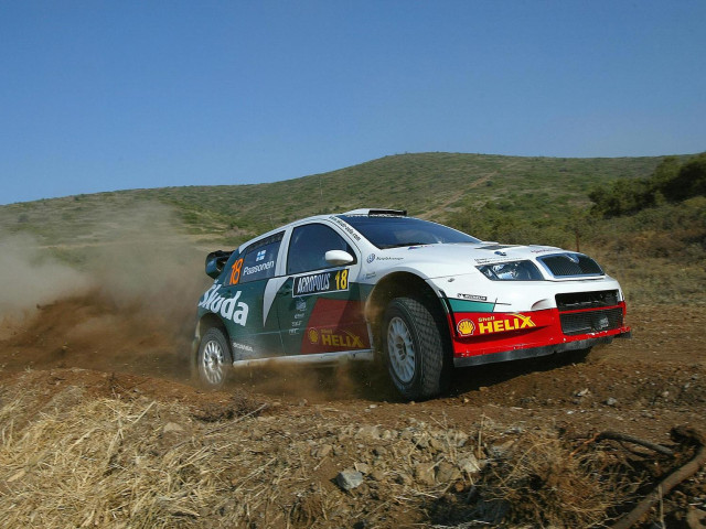 Skoda Fabia WRC фото