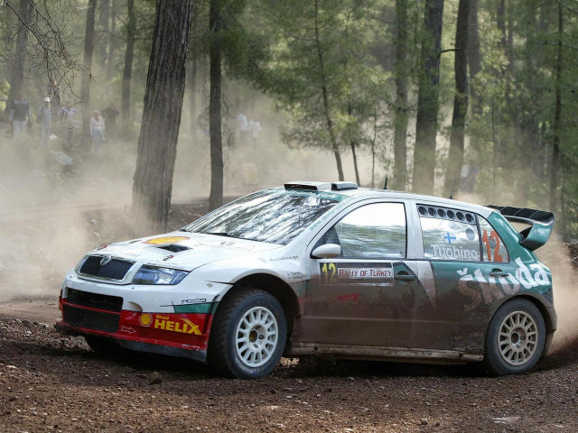 Skoda Fabia WRC фото