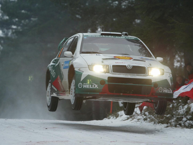 Skoda Fabia WRC фото