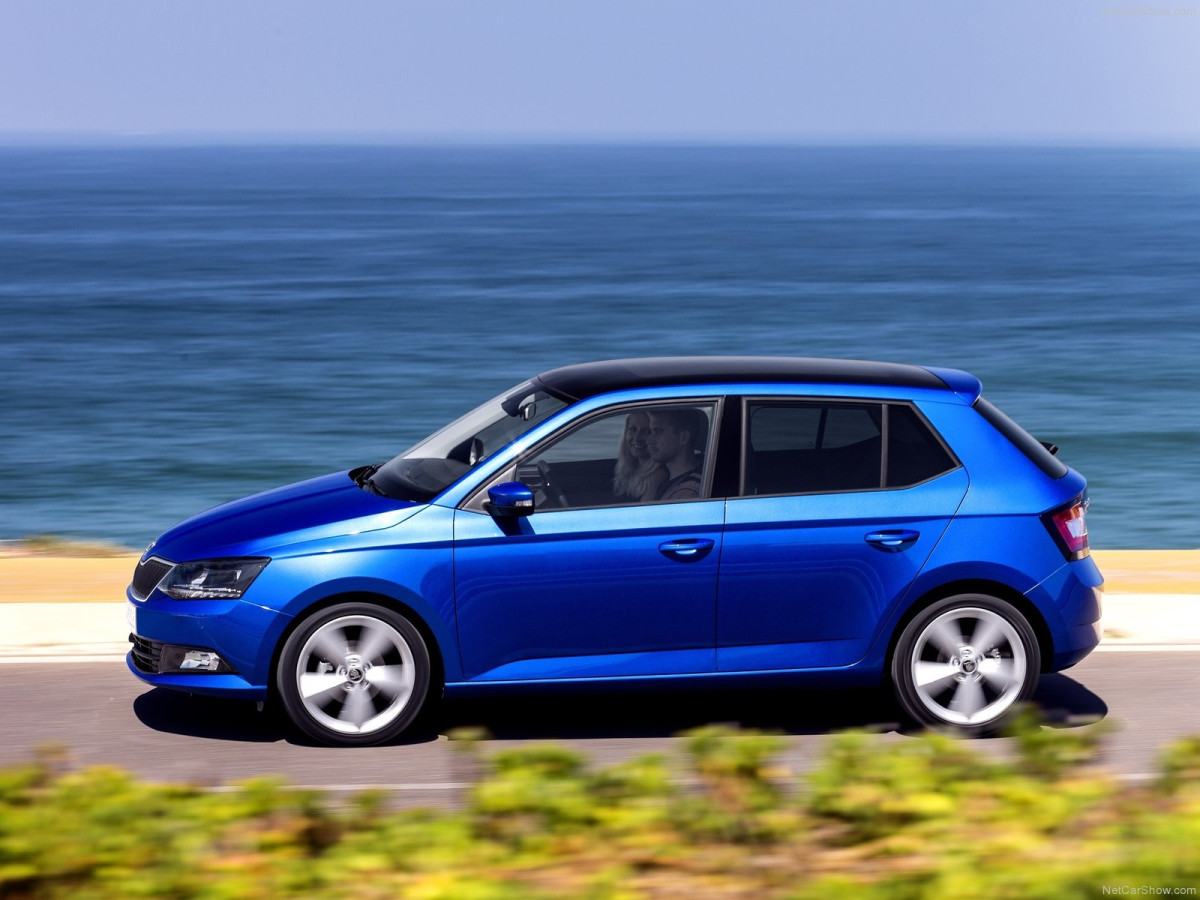 Skoda Fabia фото 134890