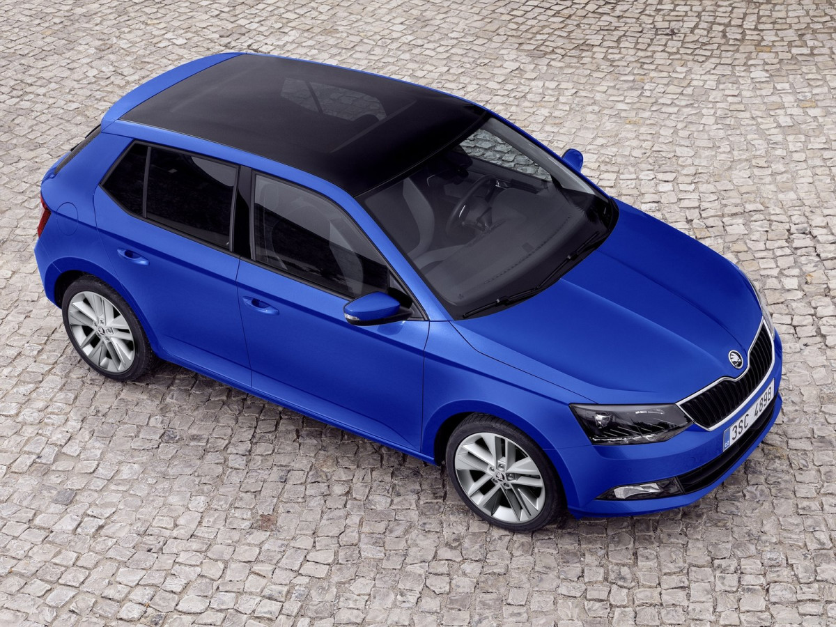 Skoda Fabia фото 134891