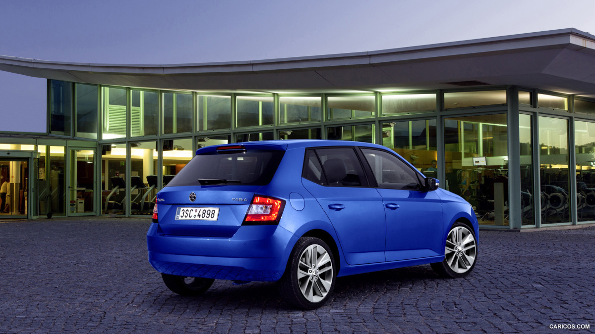 Skoda Fabia фото 140998