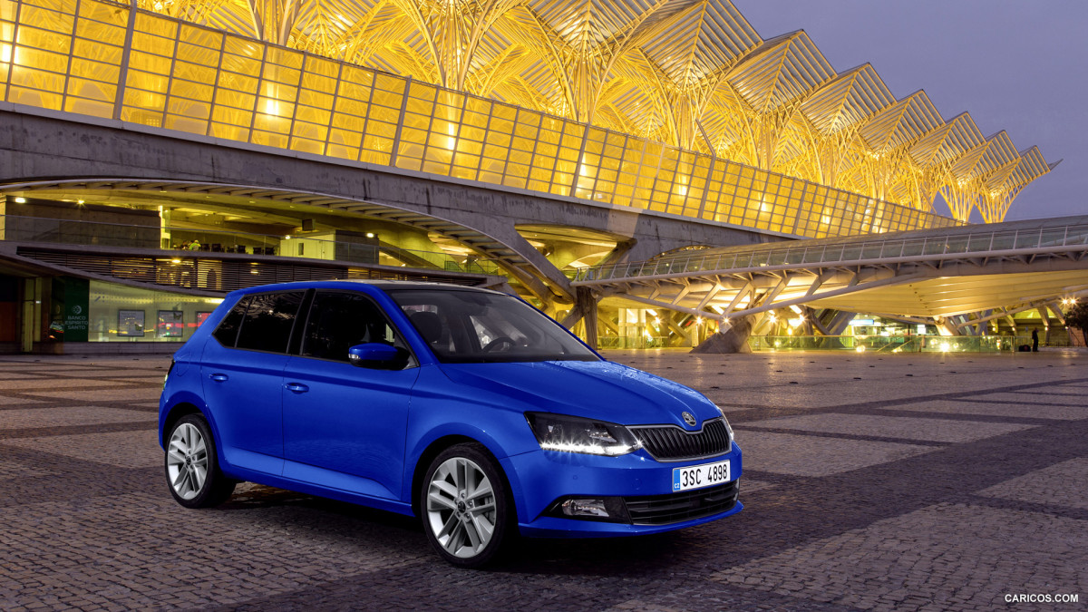 Skoda Fabia фото 141000