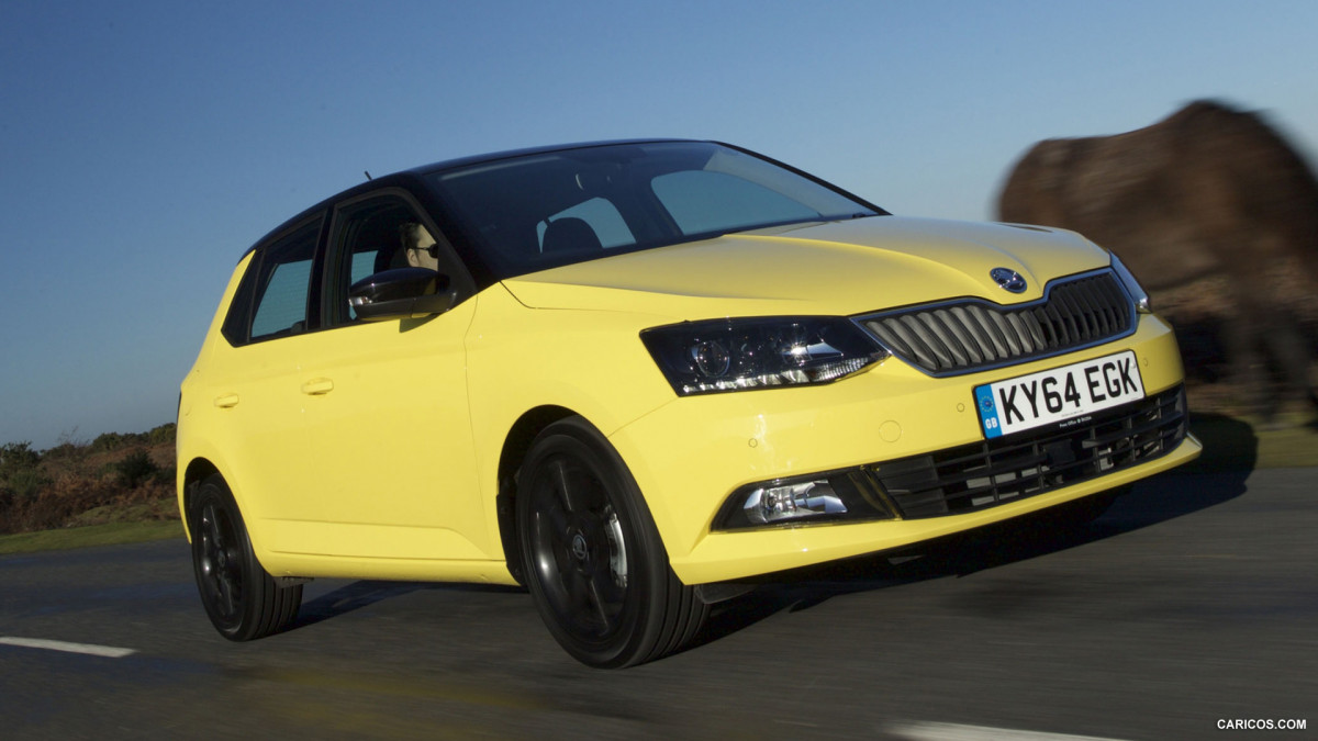 Skoda Fabia фото 141043