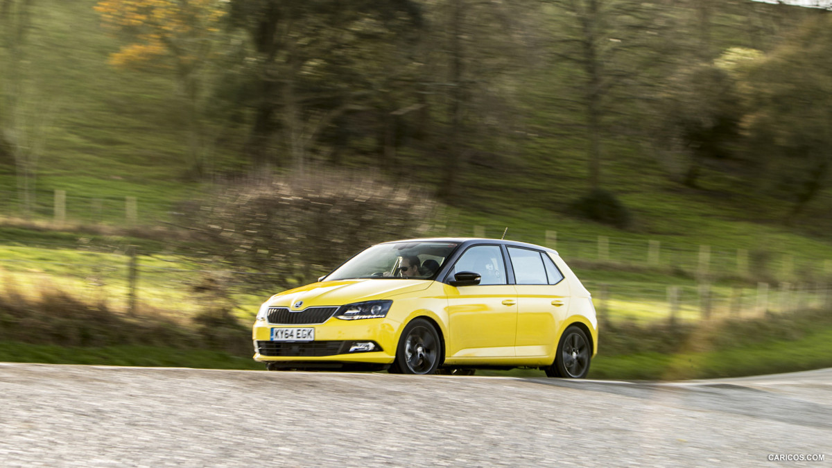 Skoda Fabia фото 141044